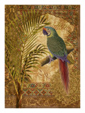 Paradisus IV