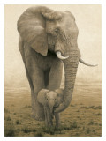 Momma's Boy