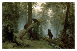 Morning In A Pine Forest