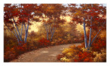 Golden Birch