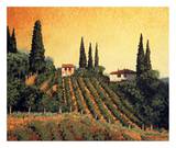 Vineyards of Tuscany
