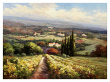 Italian Vineyards