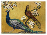 Peacocks
