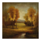 Light and Gold Stream