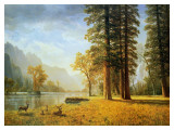 Hetch Hetchy Valley  California