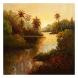 Tropical Cove