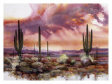 Monsoon Sunset