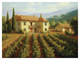 Tuscan Vineyard
