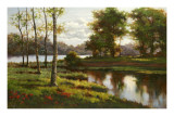 Spring Solace