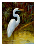 Tropical Egret I