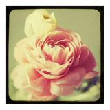 Vintage Botanical III