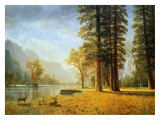Hetch Hetchy Valley  California