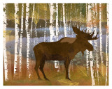 Moose