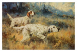 Two Setters