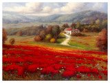 French Countryside