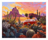 The Baja Trail