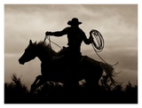 Midnight Rider