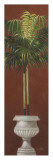 Potted Palm Red II