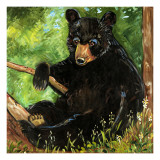 Baby Bear