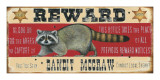 Bandit McGraw