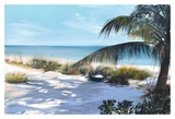 Cool Sand