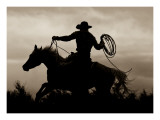 Midnight Rider