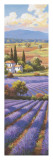 Fields of Lavender II