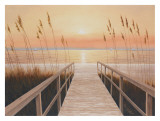 Walkway to Sea
