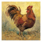 Rooster Rules I