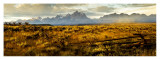 Wyoming Morning Panel