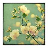 Vintage Botanical IV