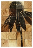 Cone Flower Wood Block