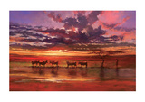 African Sunset