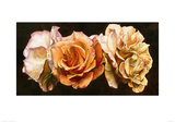 Rose Trio