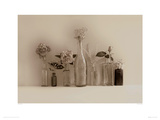 Flower Collection