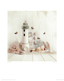 Coast Collection