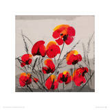Multiple Poppies