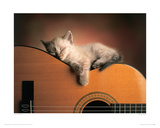 Sleeping Soundly
