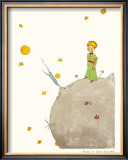 Petit Prince et son Asteroide B 612