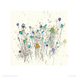 Flowers 40
