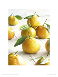 Golden Satsumas