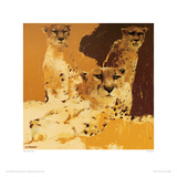 Cheetahs II
