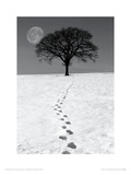 Winter Moon