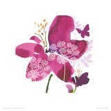 Wild Bloom