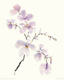 Gentle Breeze I