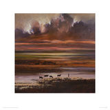 Cattle at Sunset