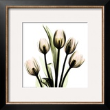 Crystal Flowers X-ray  Tulip Bouquet