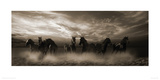 Wild Stampede
