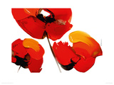 Three Poppies - White