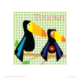 Rock a Toucan